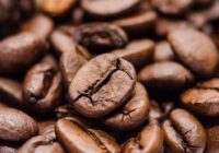 Latvijā uzsāk zinātnisko pētījumu par kafijas biezumu izmantošanu augkopībā