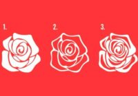 Psiholoģiskais tests: Izvēlies rozi un noskaidro, kas tevi, ar lielu iespejamību, sagaida 2021. gadā